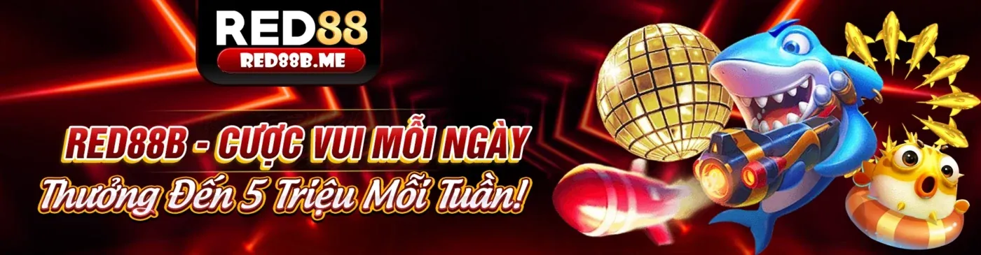 Tổng quan về 168ff và đội ngũ làm việc chuyên nghiệp
