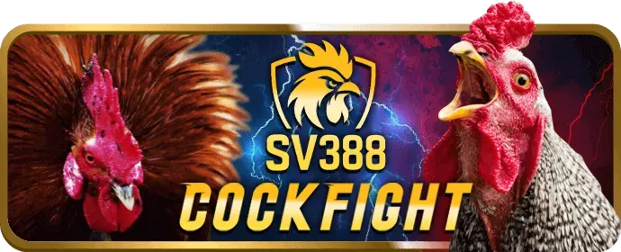 Chương trình VIP 168ff